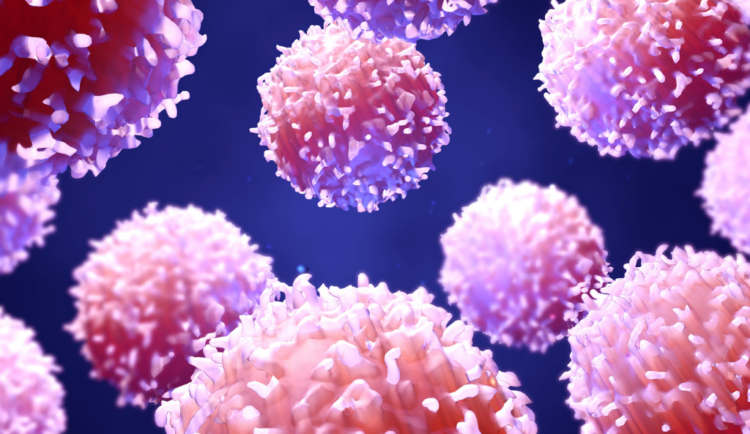 a rendering of b cells, a type of immune cells